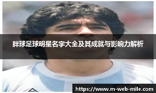 胖球足球明星名字大全及其成就与影响力解析